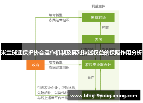 米兰球迷保护协会运作机制及其对球迷权益的保障作用分析