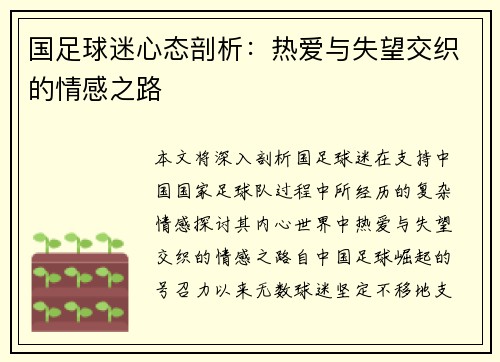 国足球迷心态剖析：热爱与失望交织的情感之路